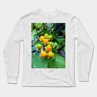 Tasty velvet peach (Solanum abutiloides).Dwarf tree tomato Long Sleeve T-Shirt